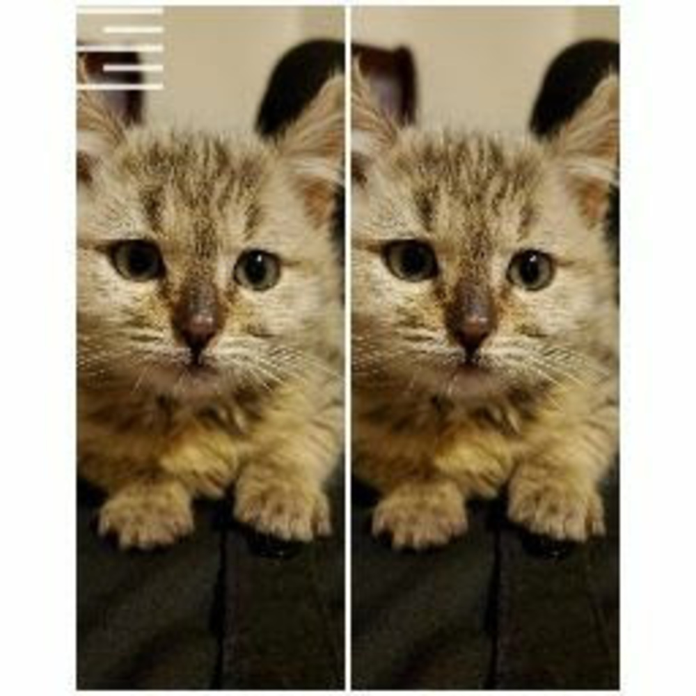 Meet your Posher, Beby